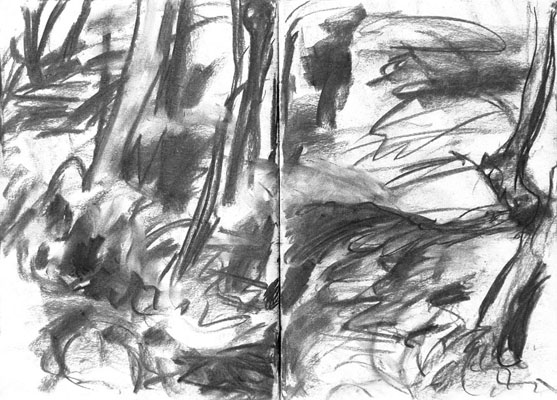 sketches