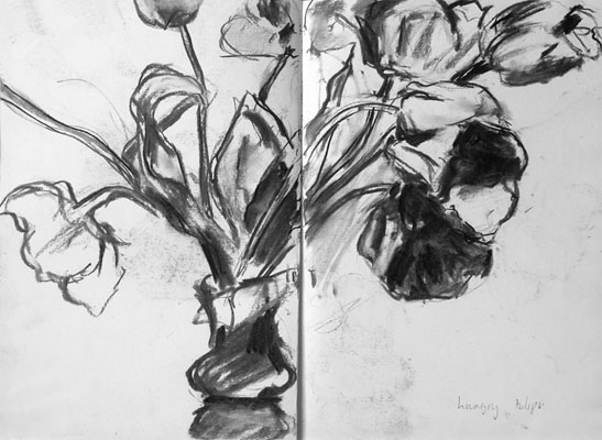 sketches