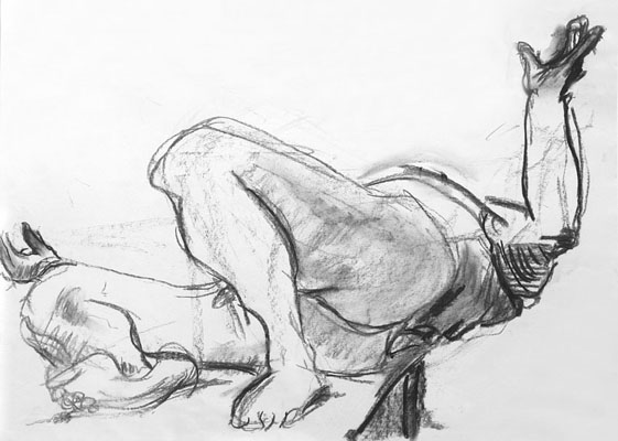 life drawings
